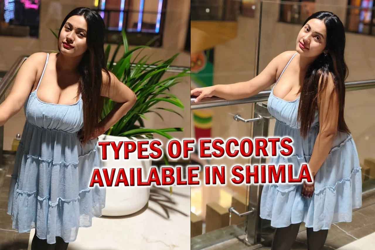 Types of Escorts Available in Shimla